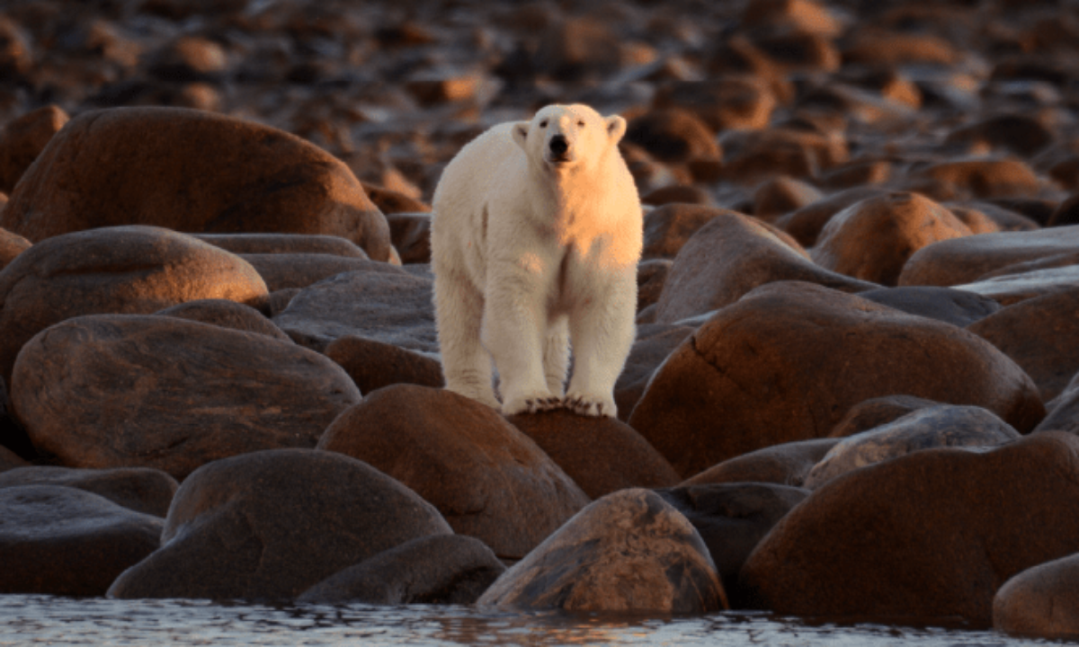 20 Fun and Interesting Facts About Manitoba: Over 100,000 Lakes